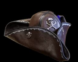 Pirate Hat